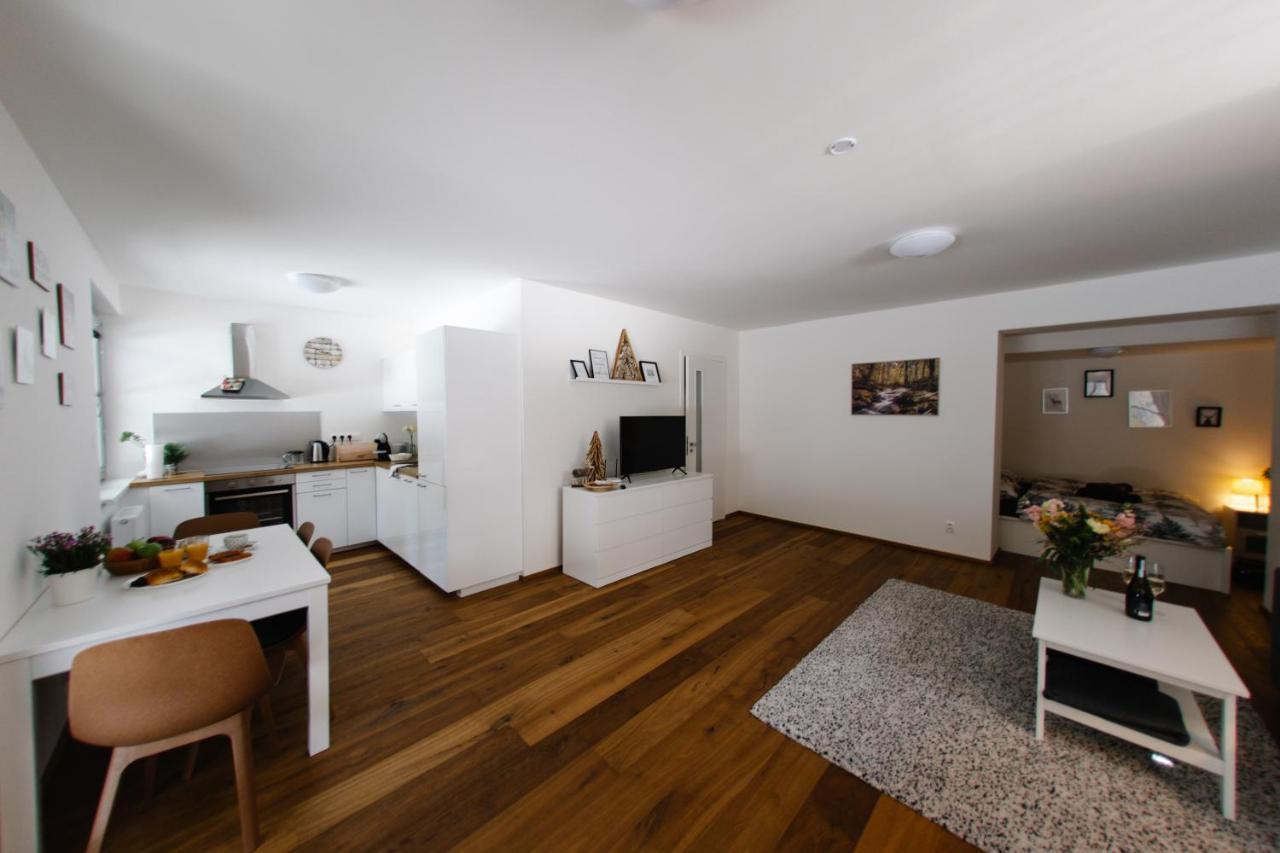 Apartman S Nadhernym Vyhledem V Centru Harrachova Exterior photo